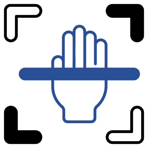 Palm Biometric Device